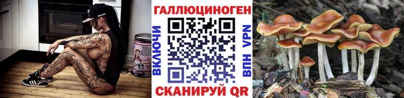 Галлюциногенные грибы прущие грибы  Нижнекамск 
